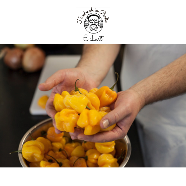 Handgemachte Saucen - Saucen Designer