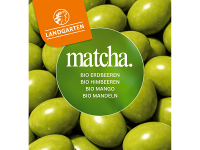 BIO MATCHA FRÜCHTE SCHOKOLIERT
